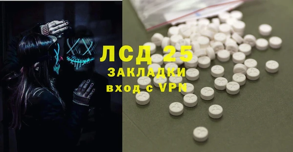 гидра Богданович
