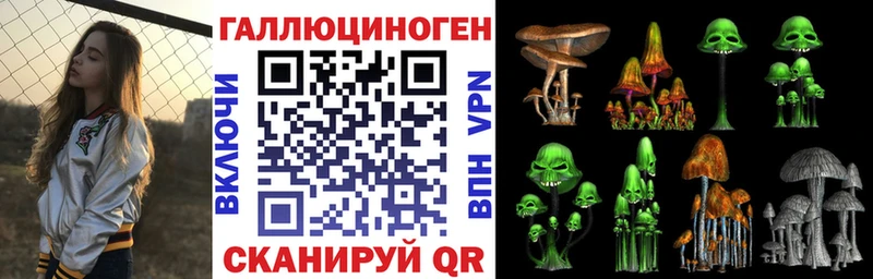 Псилоцибиновые грибы Cubensis  Кизилюрт 